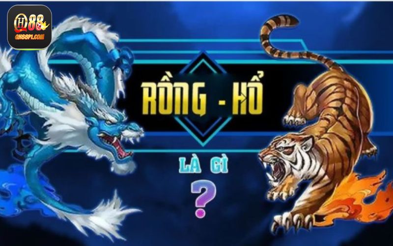 Mẹo chơi rồng hổ QH88 siêu hay cho bạn tham khảo